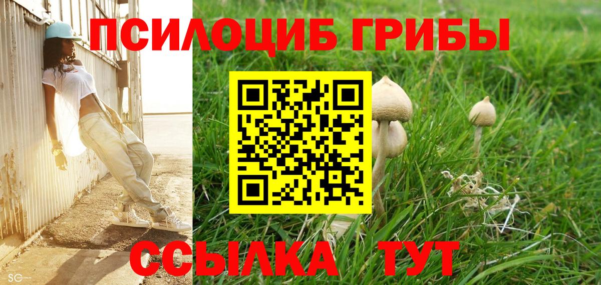 Псилоцибиновые грибы GOLDEN TEACHER  Вход с VPN  Кемерово 